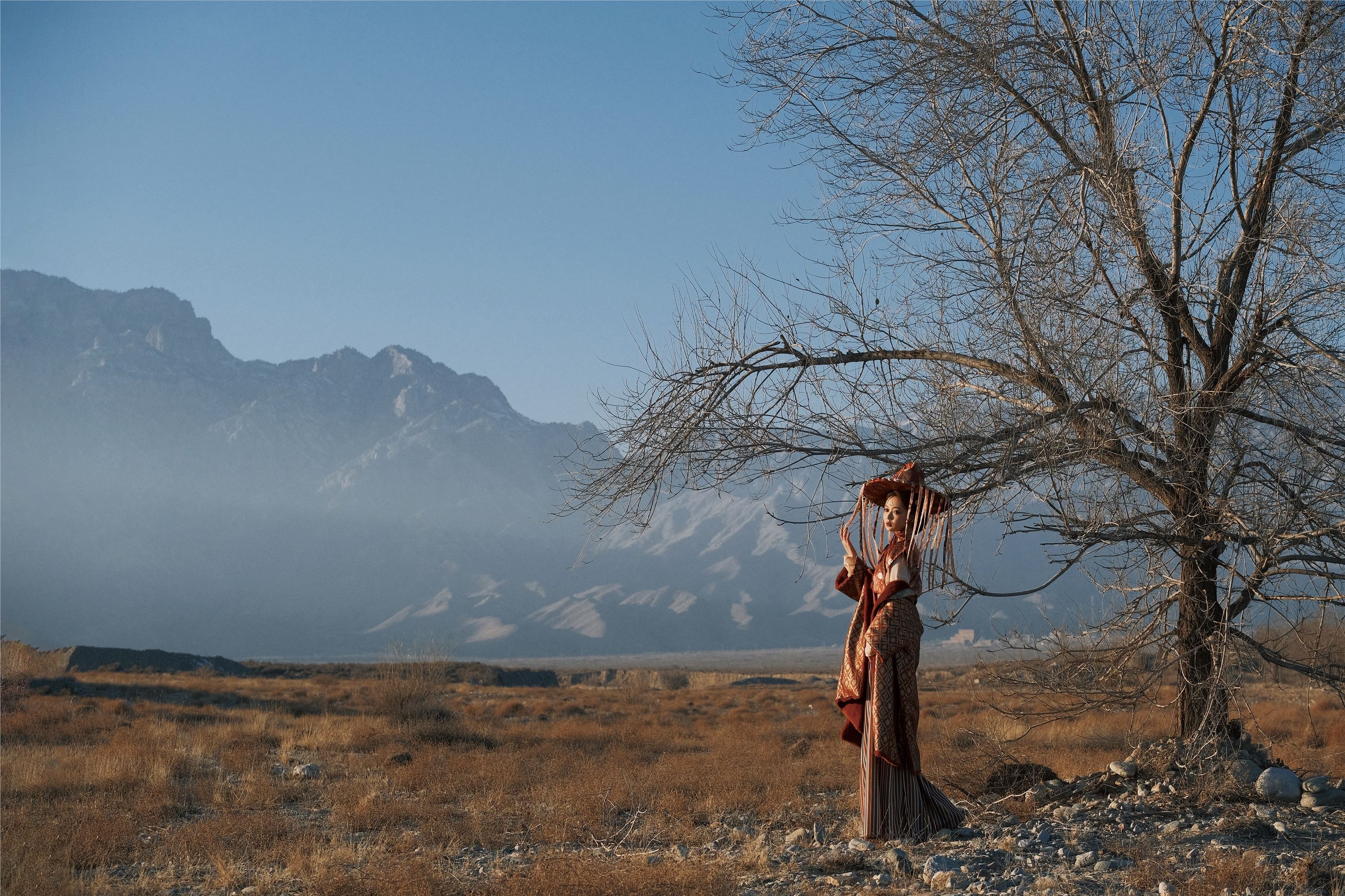 YITUYU艺图语 2025.03.10 渡关山 夏念